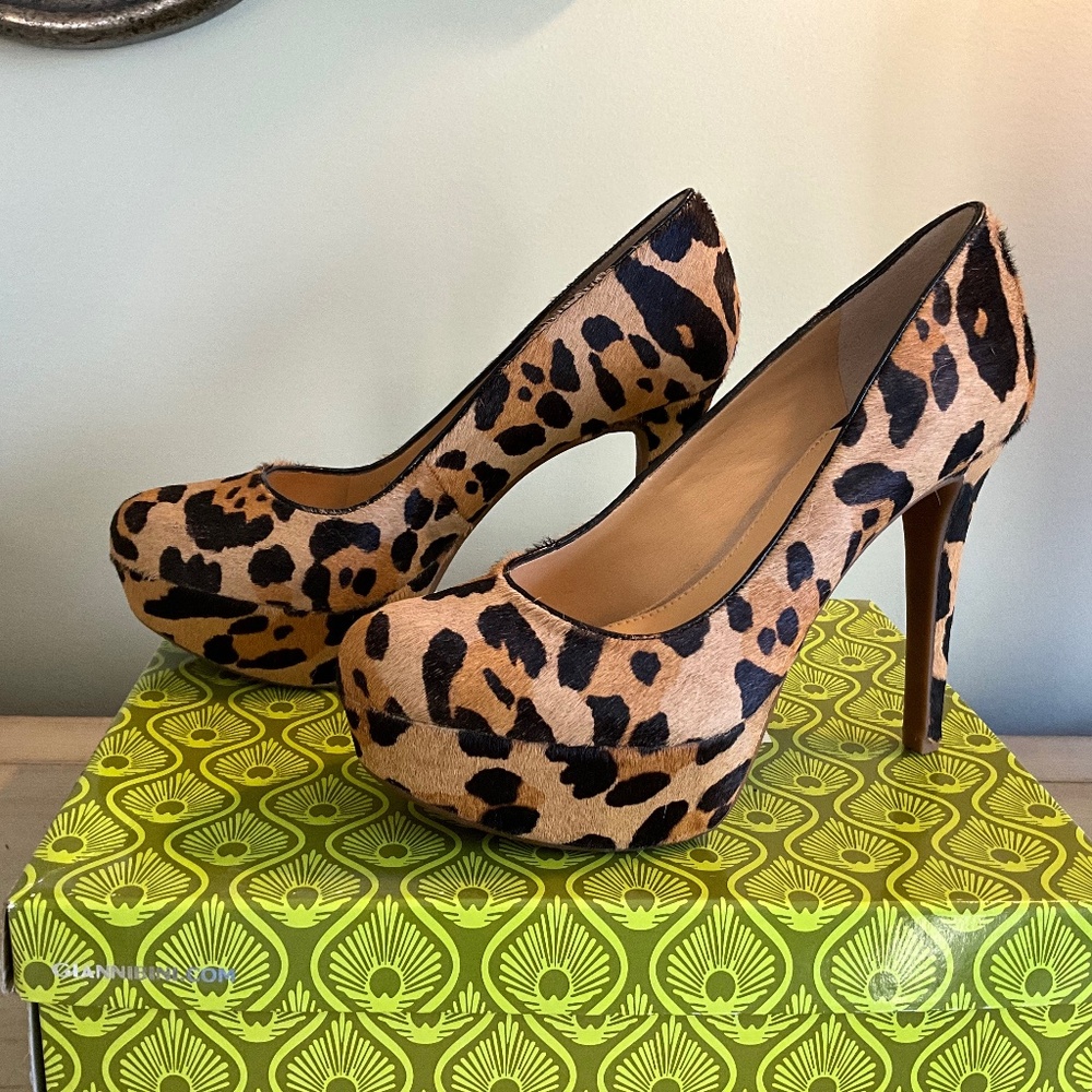 Gianni Bini. Real Haircalf. New! 7M Leopard